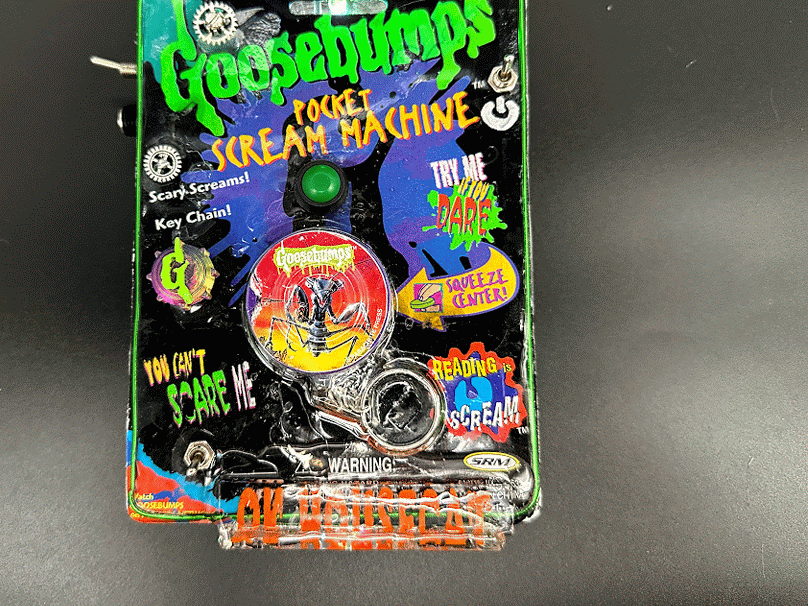 Goosebumps Keychain